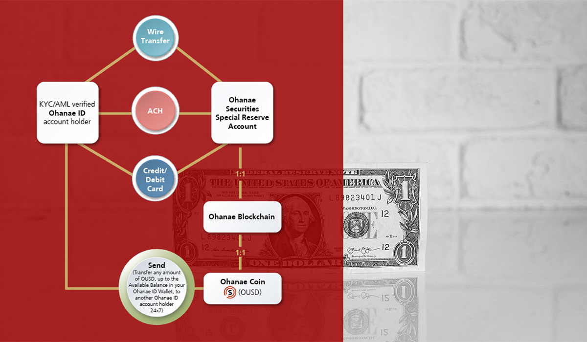 Ohanae Coin: A Stable Deposit Coin for Capital Markets