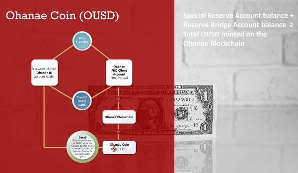 Ohanae Coin (OUSD)—A Tokenized Cash Instrument for Regulated Digital Settlement